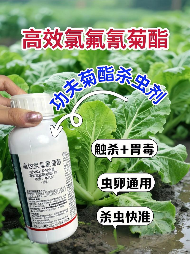 宁波代生中心:农药对供卵代生妈妈的危害